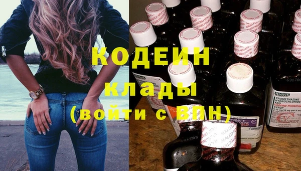 дурь Бородино