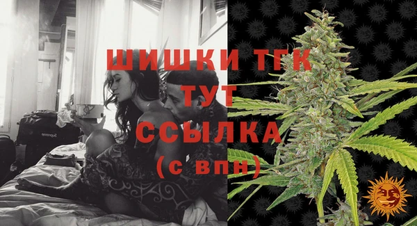 сатива Балахна