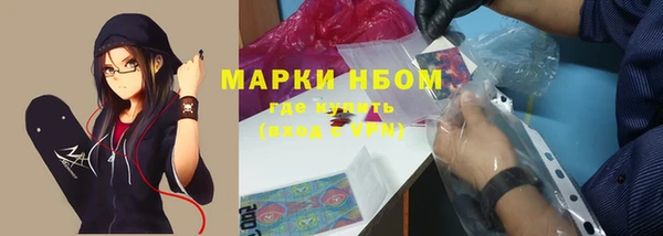 дурь Бородино