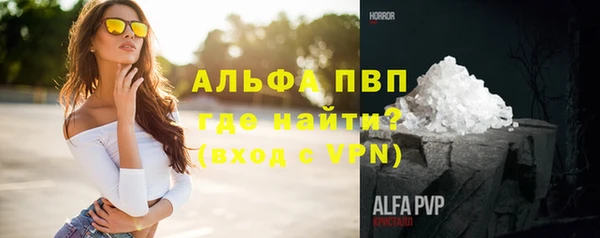 сатива Балахна
