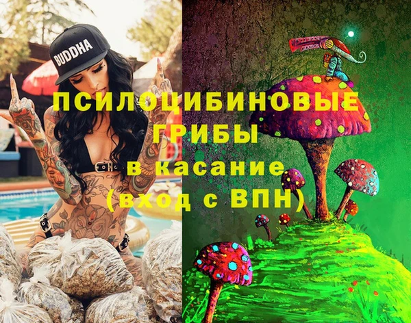 соль ск Алагир