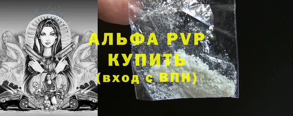 дурь Бородино