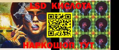 ПСИЛОЦИБИНОВЫЕ ГРИБЫ Владимир