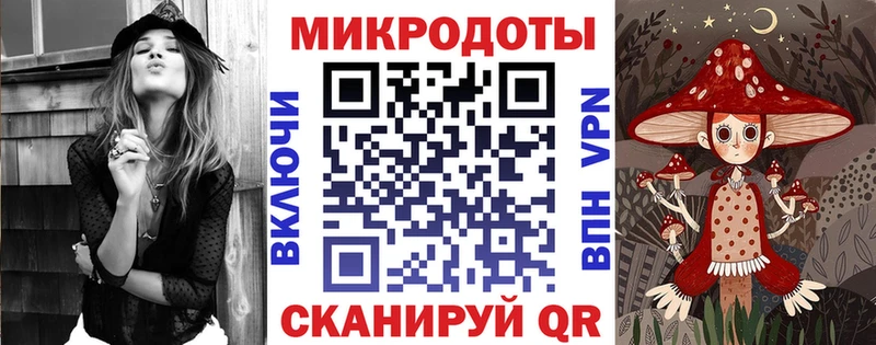 Псилоцибиновые грибы Psilocybe  Верхняя Салда 