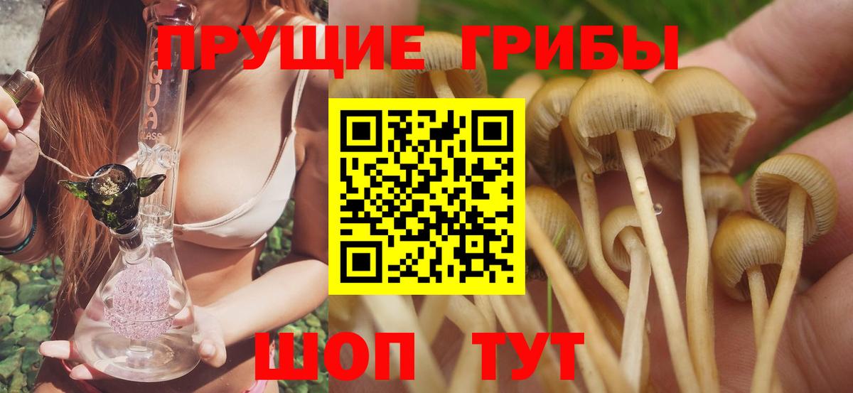 Псилоцибиновые грибы мицелий Верхняя Салда